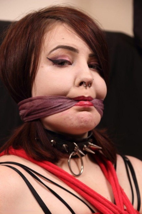 Chubby redhead is hogtied and cleave gagged in lingerie and nylons 31887847